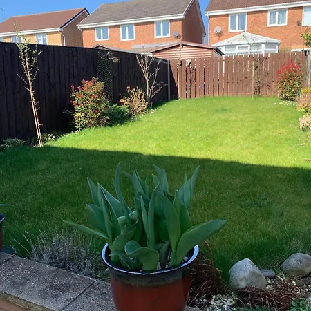 Comfortable Single Bed In Shared *